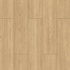 Modern - Falya Modern - Falya