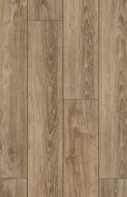 GOLDEN - ÇAYKARA MEŞE GL520