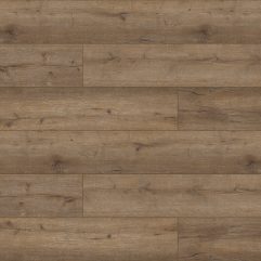 Premium XL - CEBECİ