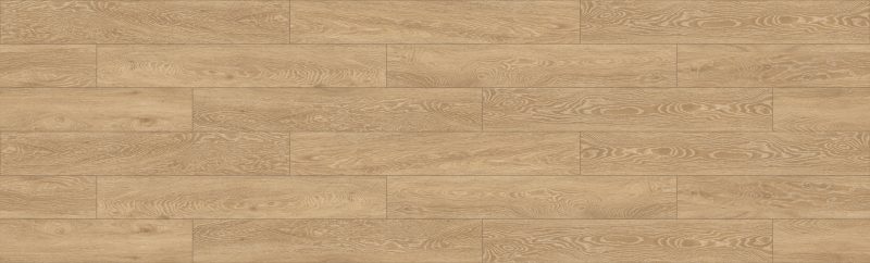 Premium Plus - VENEDİK
