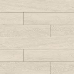 Premium Plus - GENOVA