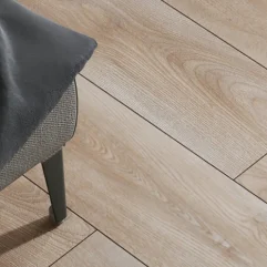 Marco Polo - Labrador